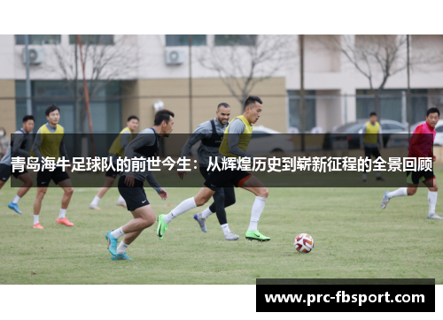 青岛海牛足球队的前世今生:从辉煌历史到崭新征程的全景回顾 青岛海牛足球队的前世今生:从辉煌历史到崭新征程的全景回顾