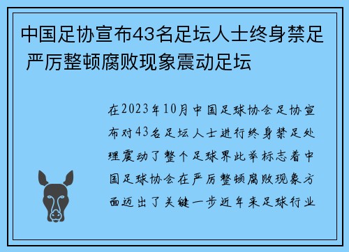 中国足协宣布43名足坛人士终身禁足 严厉整顿腐败现象震动足坛 中国足协宣布43名足坛人士终身禁足 严厉整顿腐败现象震动足坛